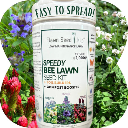 Flawn Seed Kits Speedy Bee Lawn, 500 SqFt, Dutch & Crimson Clover, Self-Heal, Easy to Spread, Low Maintenance, Pet, Kid, Eco-Friendly Regenerative