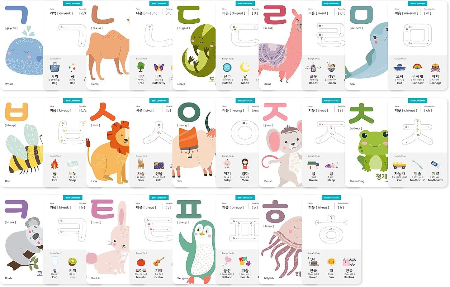40 Korean Flash Cards – 4x6 Dry Erase Hangul Flashcards (Gift Box)