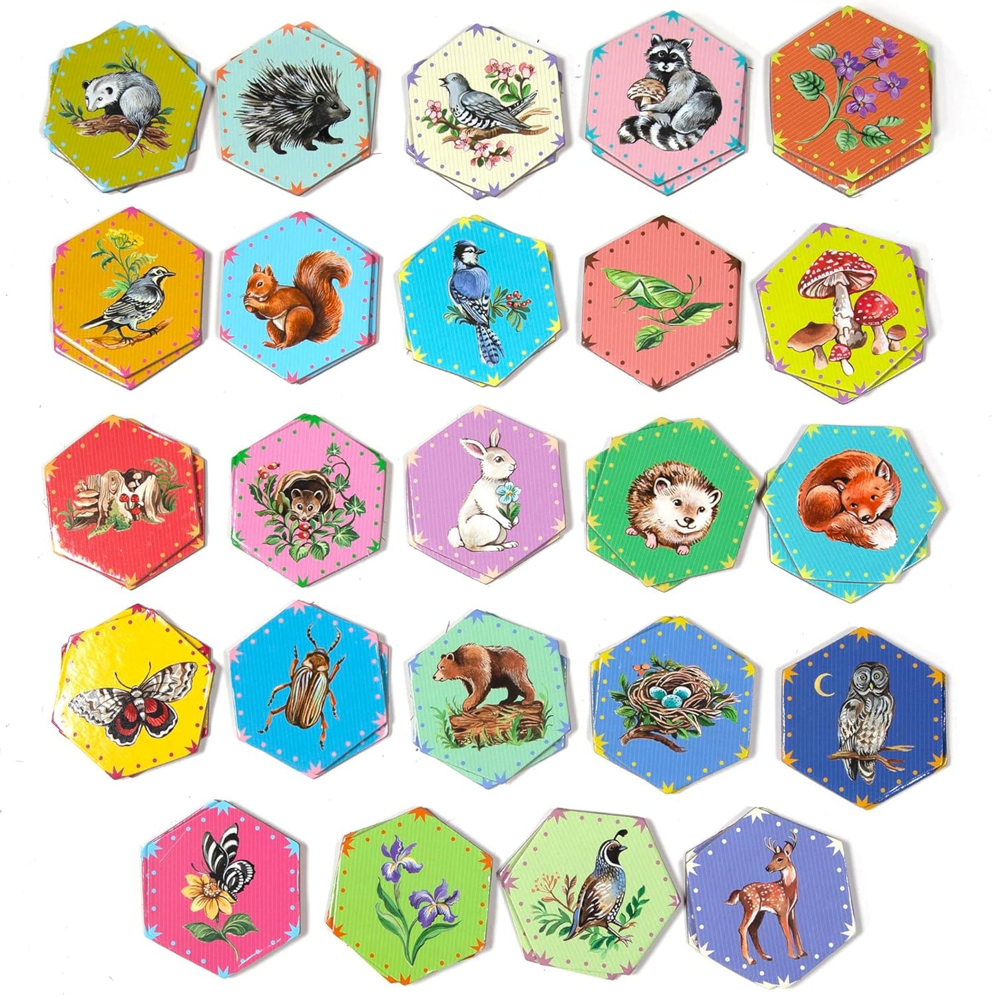 eeBoo: Memory and Matching Game - Life on Earth- 24 Pairs, Develops Recognition, Concentration, Memory & Vocabulary Skills, Age 3+