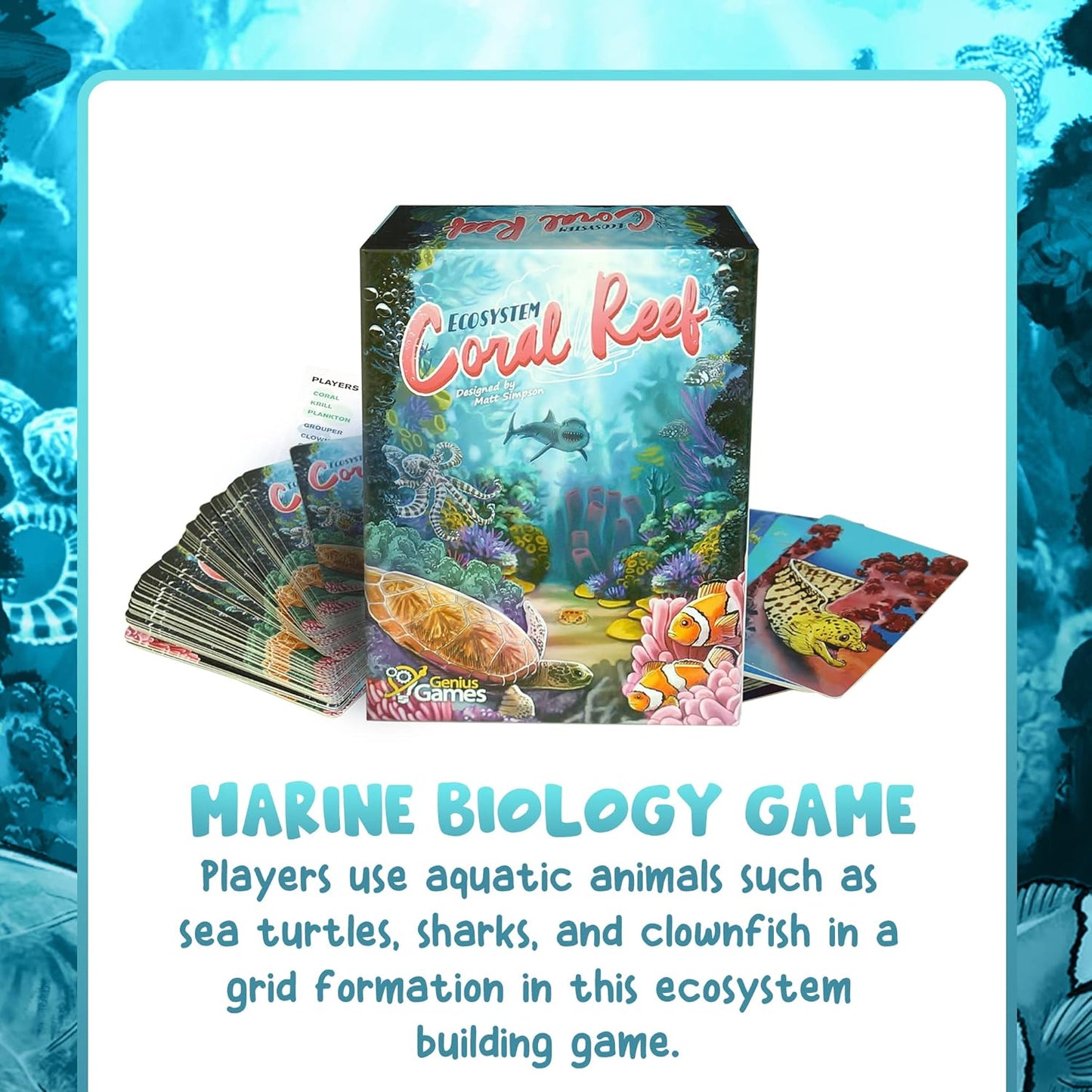 Ecosystem - A Family Card Game about Building Habitats | Learn about Animals, Ecology & Biodiversity for Kids, Adults, Families or the classroom! Fun Board Games for Environmental Science Class