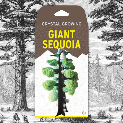 Crystal Growing Giant Sequoia | Copernicus Toys Official Terraformer kit | Grows in Hours | Facts and Instructions