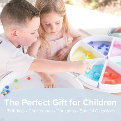 Inspire My Play Starter Bundle - Sensory Bin with Lid and Removable Storage Inserts