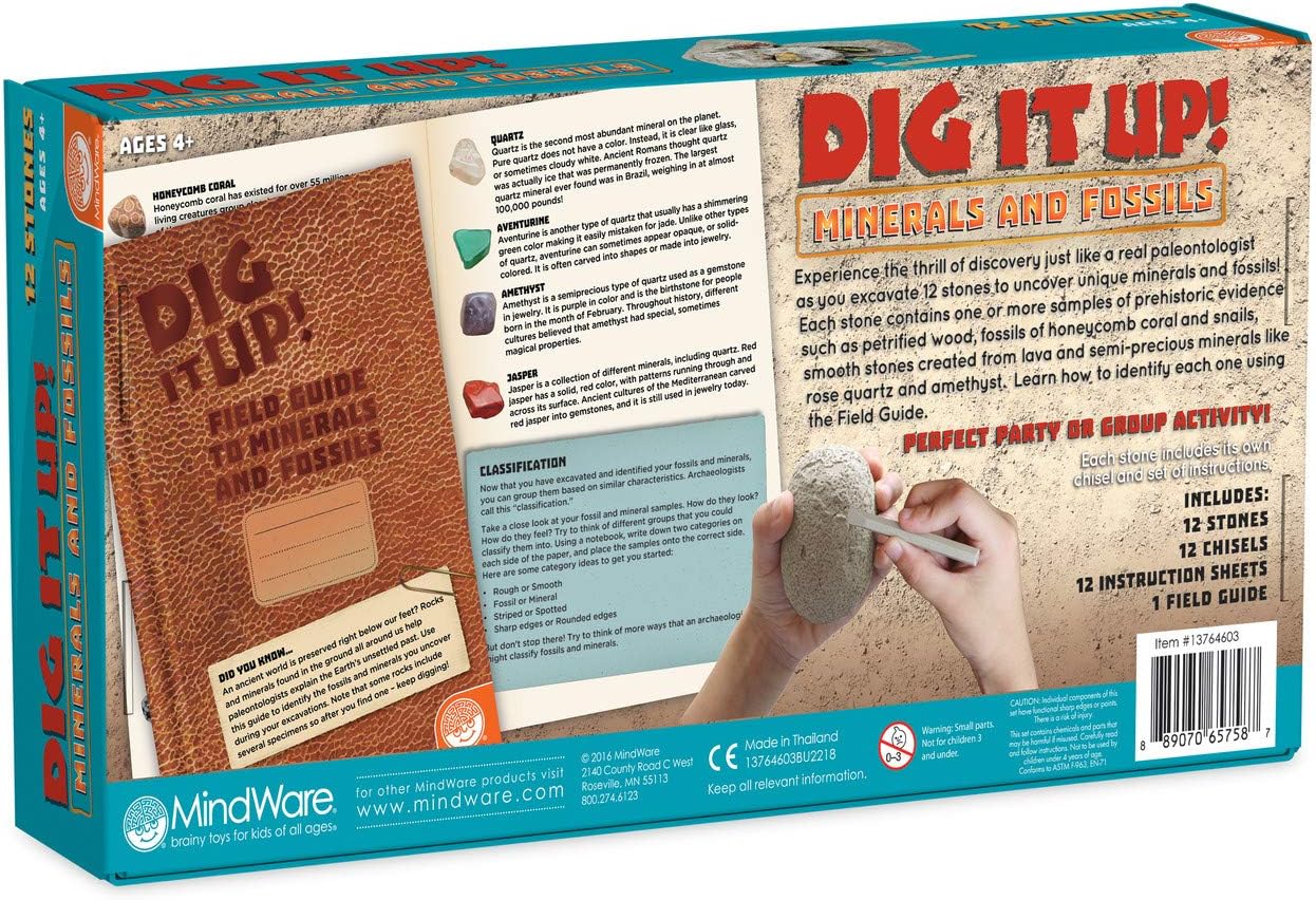 Dig It Up! Fossils & Minerals
