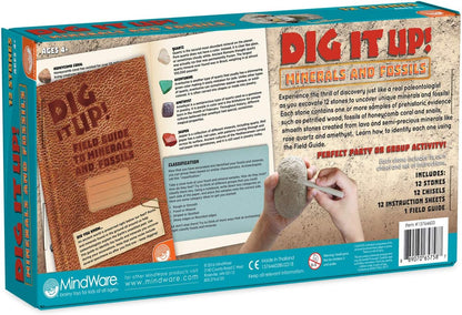 Dig It Up! Fossils & Minerals