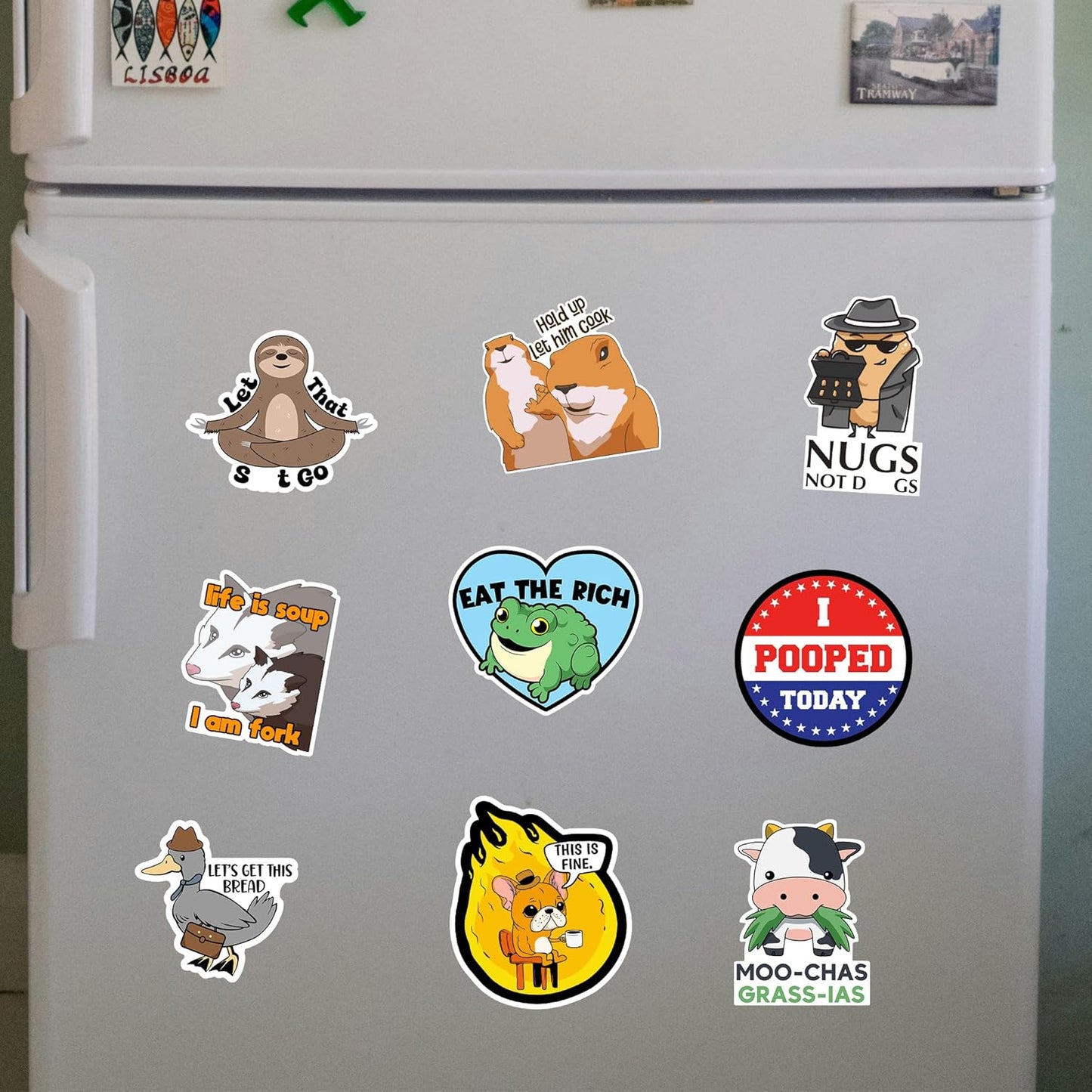 Debinolo 16 PCS Funny Fridge Magnets for Adults, and Words for Refridgerator Cabinet Door Dishwasher Filing Cabinets Tool Box Home/Office Decorations (16, Funny)