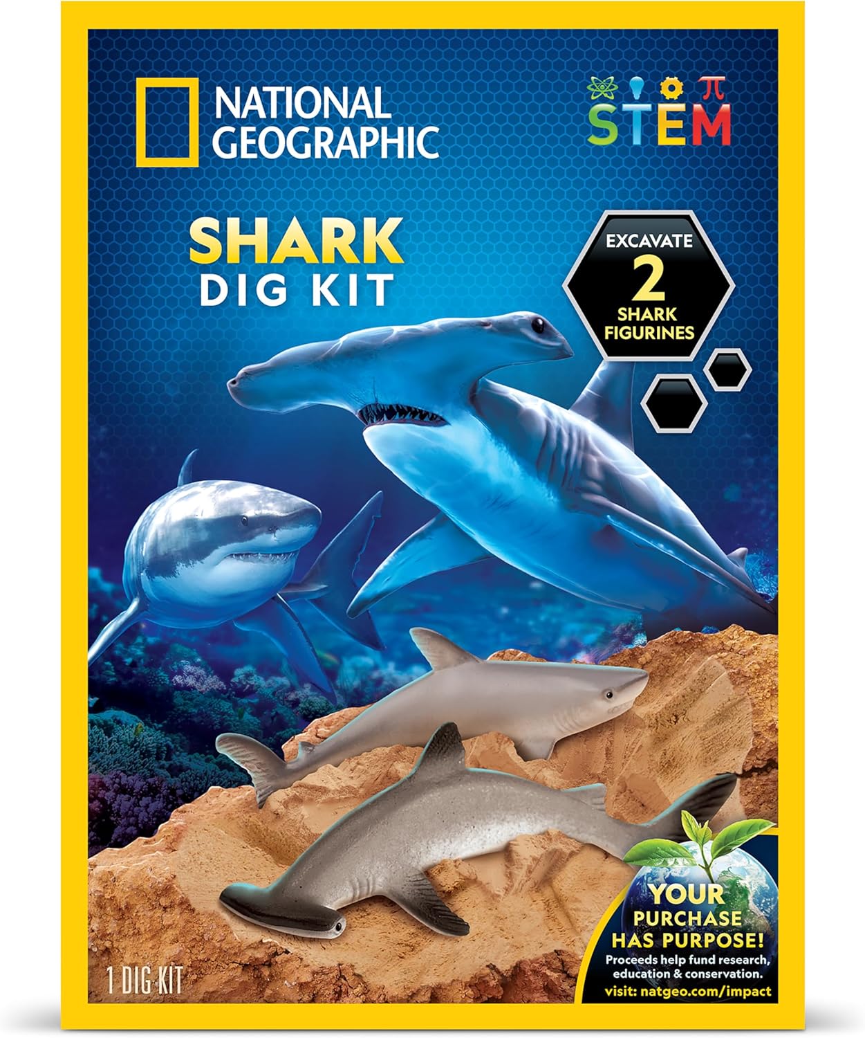 NATIONAL GEOGRAPHIC Dino Fossil Dig Kit & Dinosaur Book for Kids- Excavate a Replica Dinosaur Tooth Fossil and Study Paleontology with a Full-Color Dinosaur Activity Book for Kids (Amazon Exclusive)