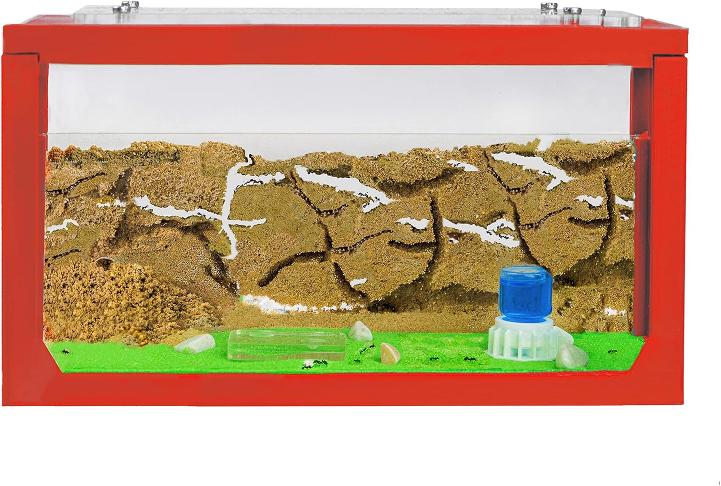 Anthouse.ES - Natural Sand Ant Farm - Acrylic Starter Kit 20x10x10 cm - Sand, Pipette, and Water Dispenser Included - Easy Installation