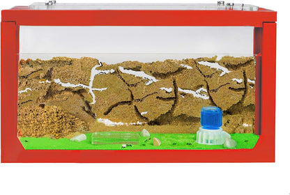 Anthouse.ES - 3D Aquarium-Style Natural Ant Farm - Sand Ant Farm - Complete Kit with Sand and Accessories - Starter Model 20x10x10 cm - Grey Color