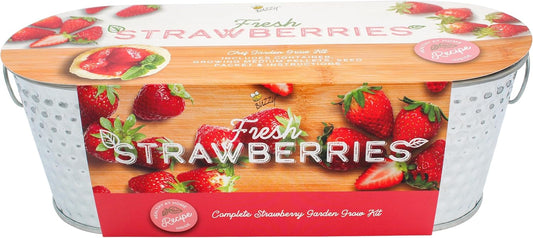 BUZZY Seeds Strawberry Grow Kit Easy Indoor Windowsill Garden with Decorative Metal Planter, Non-GMO Seeds, Growing Medium, A Fun Gift for Beginning Gardeners