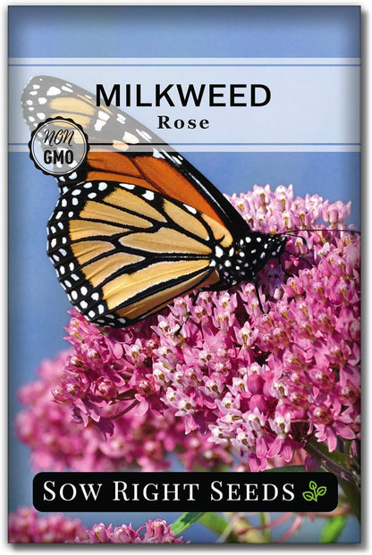 Sow Right Seeds - Rose Milkweed Seeds for Planting - Attract Monarch Butterflies to Your Garden - Non-GMO Heirloom Seeds, Instructions to Grow - Perennial Plant for Pollinators - Swamp Variety (4)