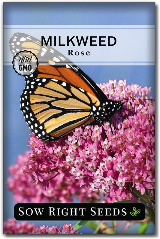 Sow Right Seeds - Rose Milkweed Seeds for Planting - Attract Monarch Butterflies to Your Garden - Non-GMO Heirloom Seeds, Instructions to Grow - Perennial Plant for Pollinators - Swamp Variety (4)