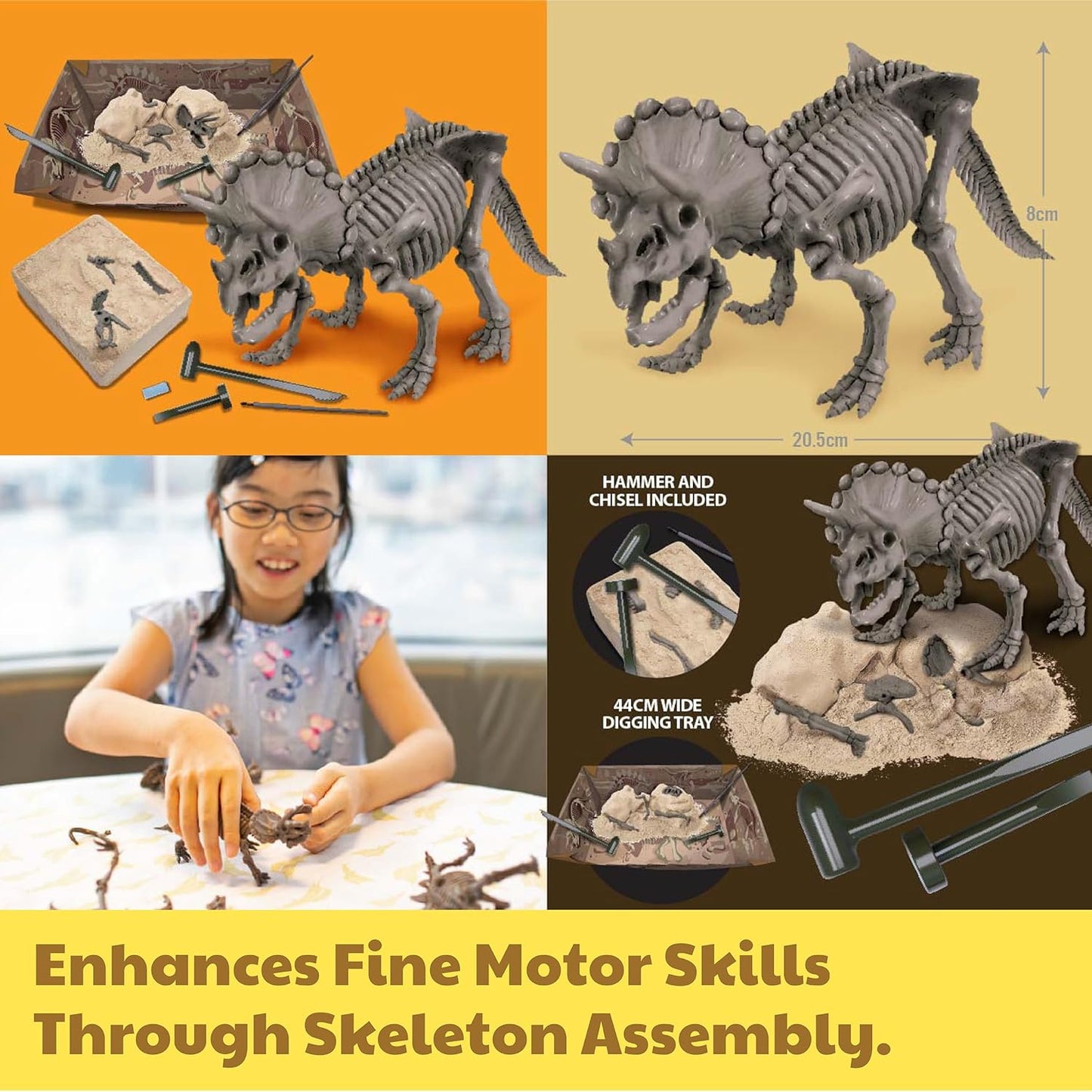 KidzLabs Dig a Pteranodon Skeleton Kit, Fossil Excavation Set, Ages 8+, 1 Piece