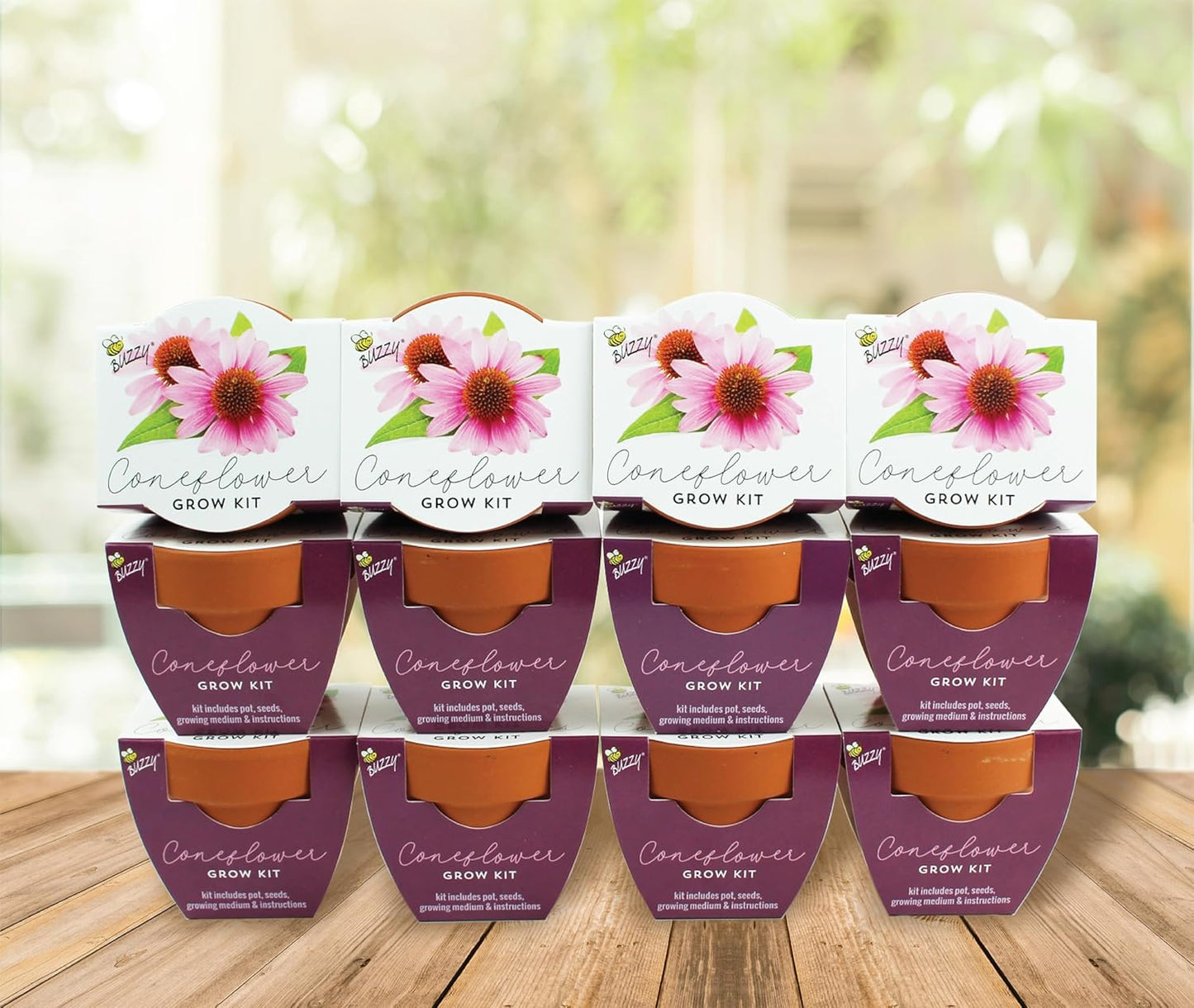 BUZZY Seeds 12-Pack Sunflower Mini Grow Pots – All-in-One Terracotta Flower Starter Kit with Growing Medium, DIY Gardening, Wedding and Shower Favors
