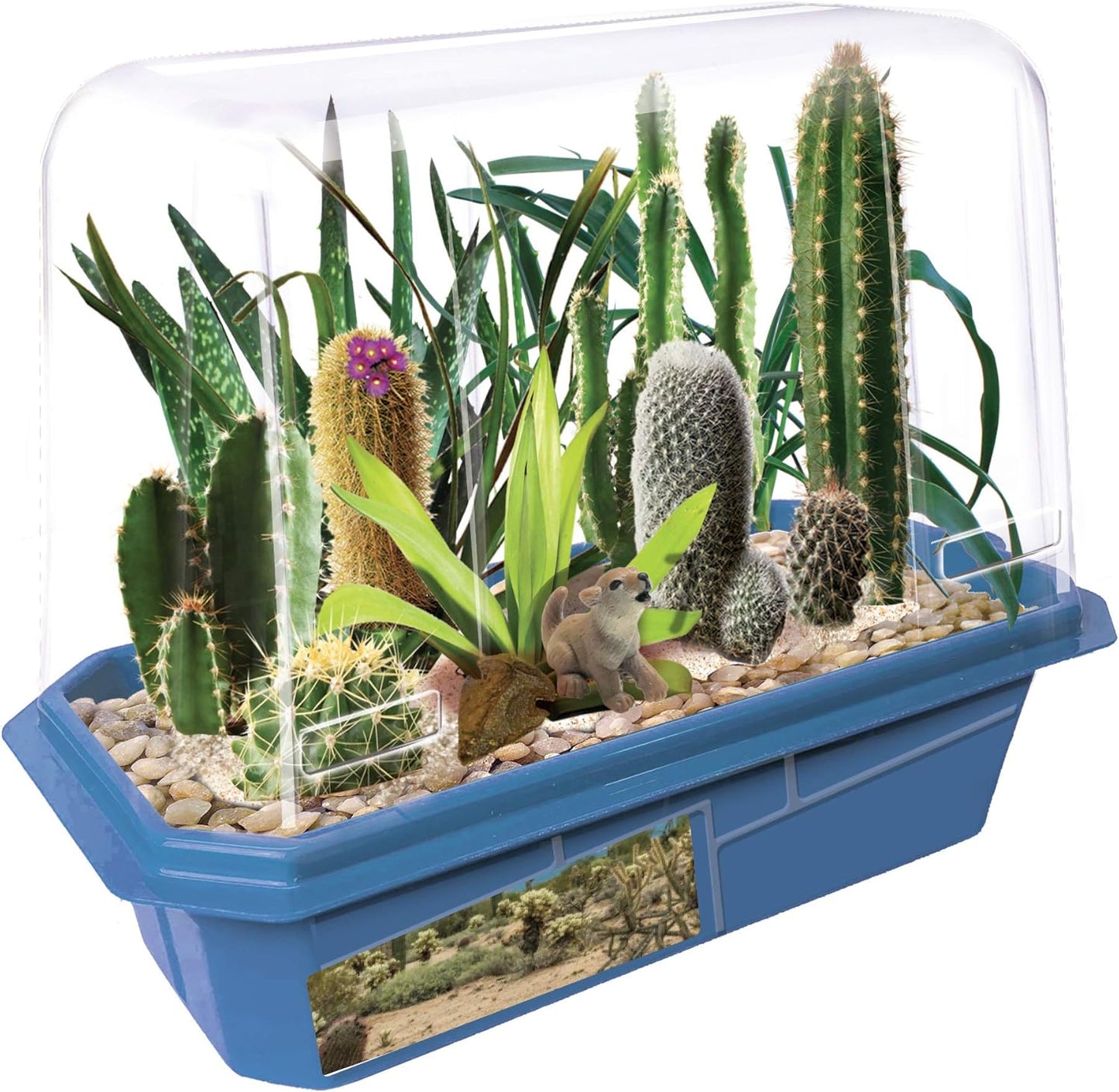 Toys By Nature Miniature Worlds Terrifying Venus Flytrap Terrarium Starter Kit for Kids and Adults, Watch Indoor Carnivorous Fly Traps Grow! Just Add Water! (Frightening Flytraps)