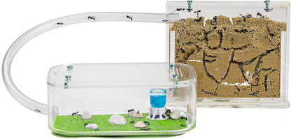 Anthouse.ES - Natural Sand Ant Farm - Basic Acrylic Kit (Sandwich + Foraging Box) - 12x10x1 cm and 18x10x5 cm