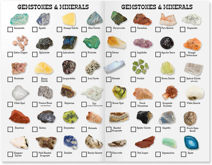 Boone's Mill Gemstone Paydirt | 5 Pounds | Gem Mining Rough Stone Mix | Rock Fossil ID Guide