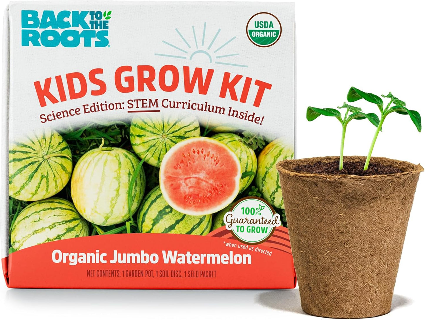 Back to the Roots Terrarium Grow Kit - Easy-to-Use DIY Set for All Ages Small