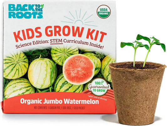 Back to the Roots Terrarium Grow Kit - Easy-to-Use DIY Set for All Ages Small