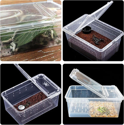 Critter Keeper Ant Farm Cane Toad Trap Little Live Pets Bug Catcher Kit for Kids Frog Habitat Turtle Tank Reptile Terrariums Lizard Cage Fish Bowl Beach Aquarium Catch and Release