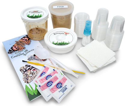 30 Live Caterpillars for Butterfly Habitat Kit - Refill for Painted Lady Butterfly Kit with Caterpillar Food, Instructions - Educational Science Kit, 6 Cups of 5 Caterpillars