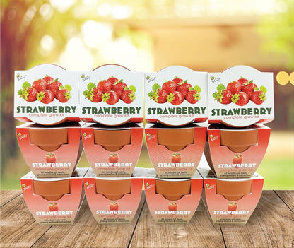 BUZZY Seeds 12-Pack Sunflower Mini Grow Pots – All-in-One Terracotta Flower Starter Kit with Growing Medium, DIY Gardening, Wedding and Shower Favors
