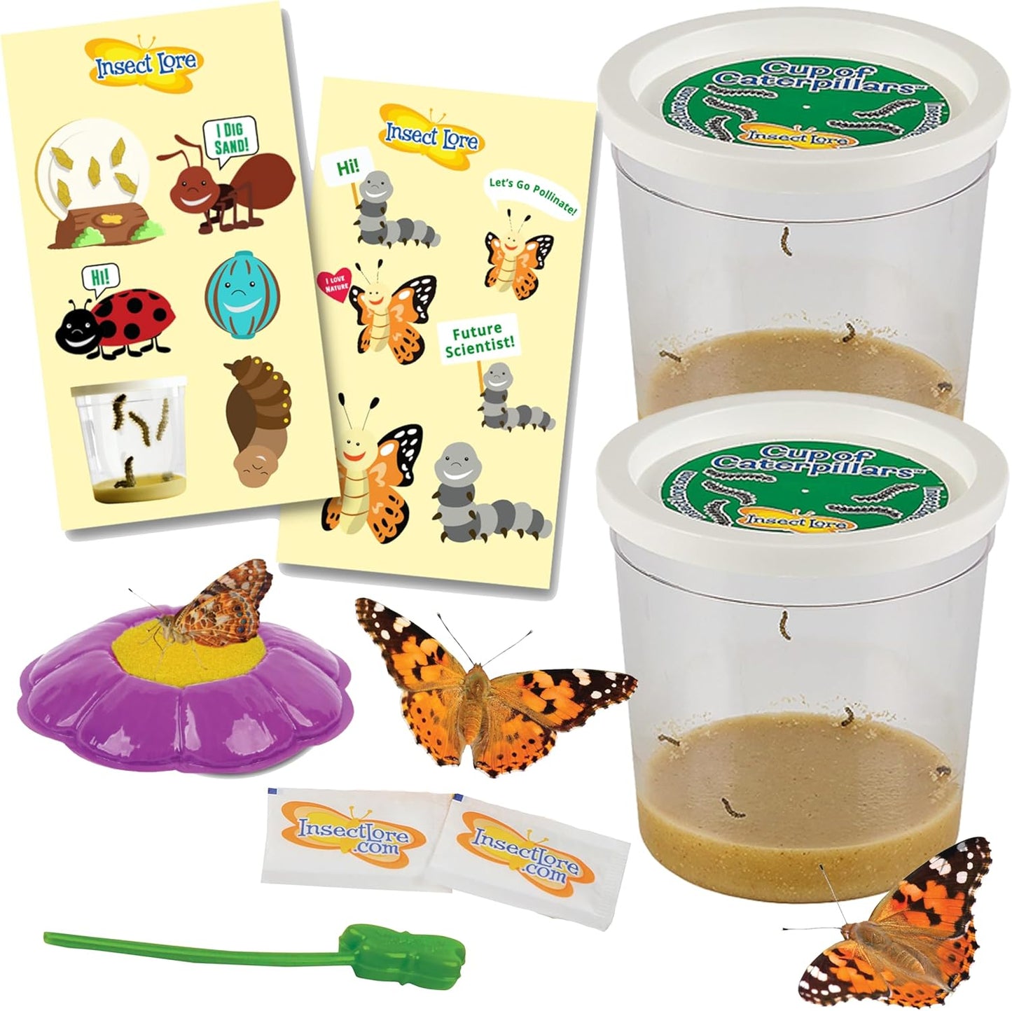 Insect Lore Two Cups of Caterpillars Deluxe - 10 Live Baby Caterpillars with Stickers - Raise and Relase Painted Lady Butterflies