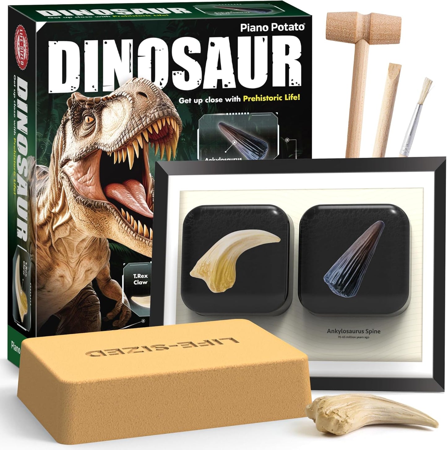 Dinosaur Dig Kit - Excavate 2 Life-Sized Fossils (T.Rex Claw & Ankylosaurus Spine) - STEM Authenticated Science Toy with Tools & Display Frame - Gifts for Boys & Girls Ages 6-12