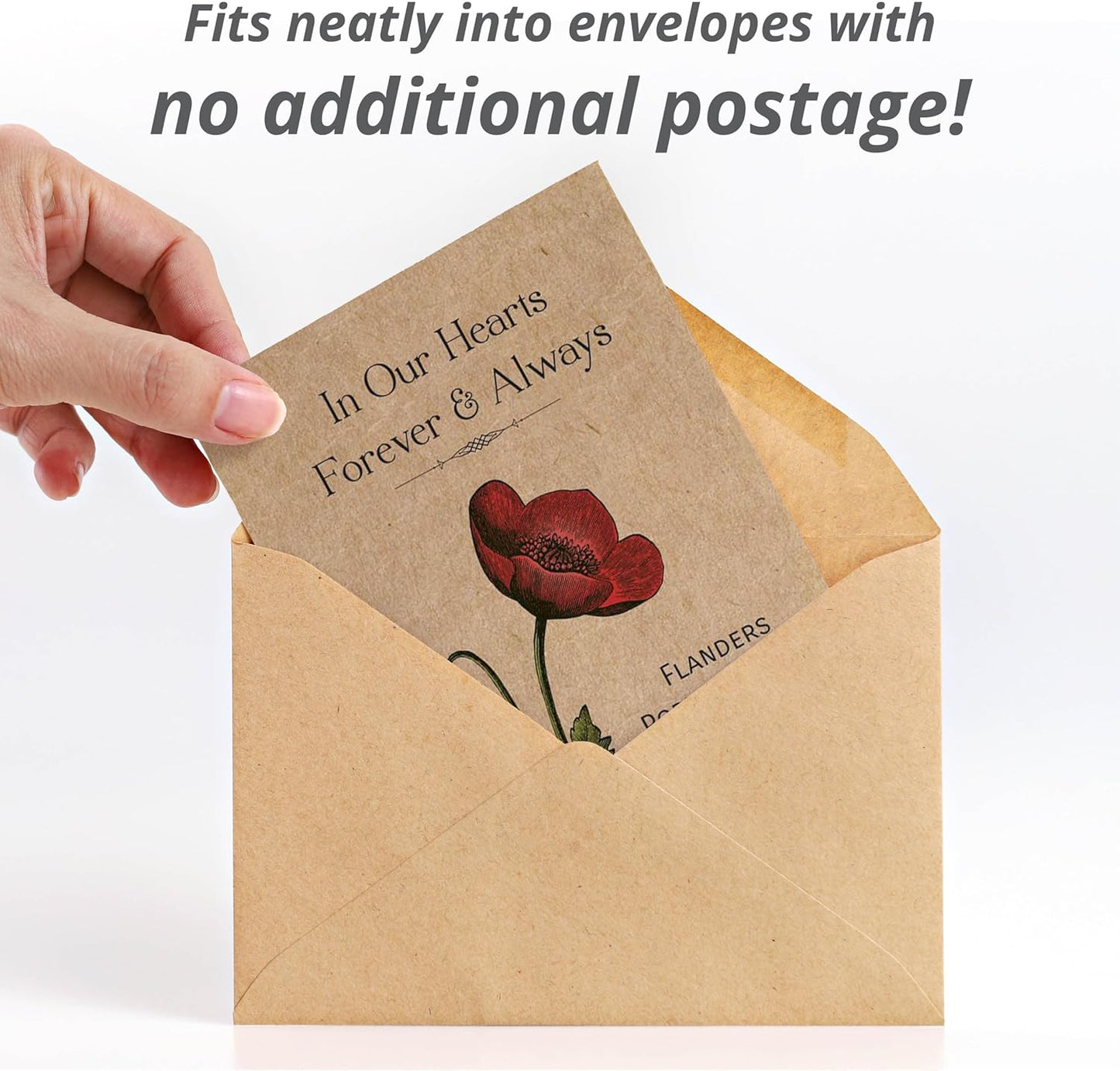 Grateful Memories Dove with Bird and Butterfly Mix Seed Favor Packets - Gardening Gifts - Wild Flower Seeds for Planting - Garden or Indoor Plant Flowers - Growing Plants in Memory