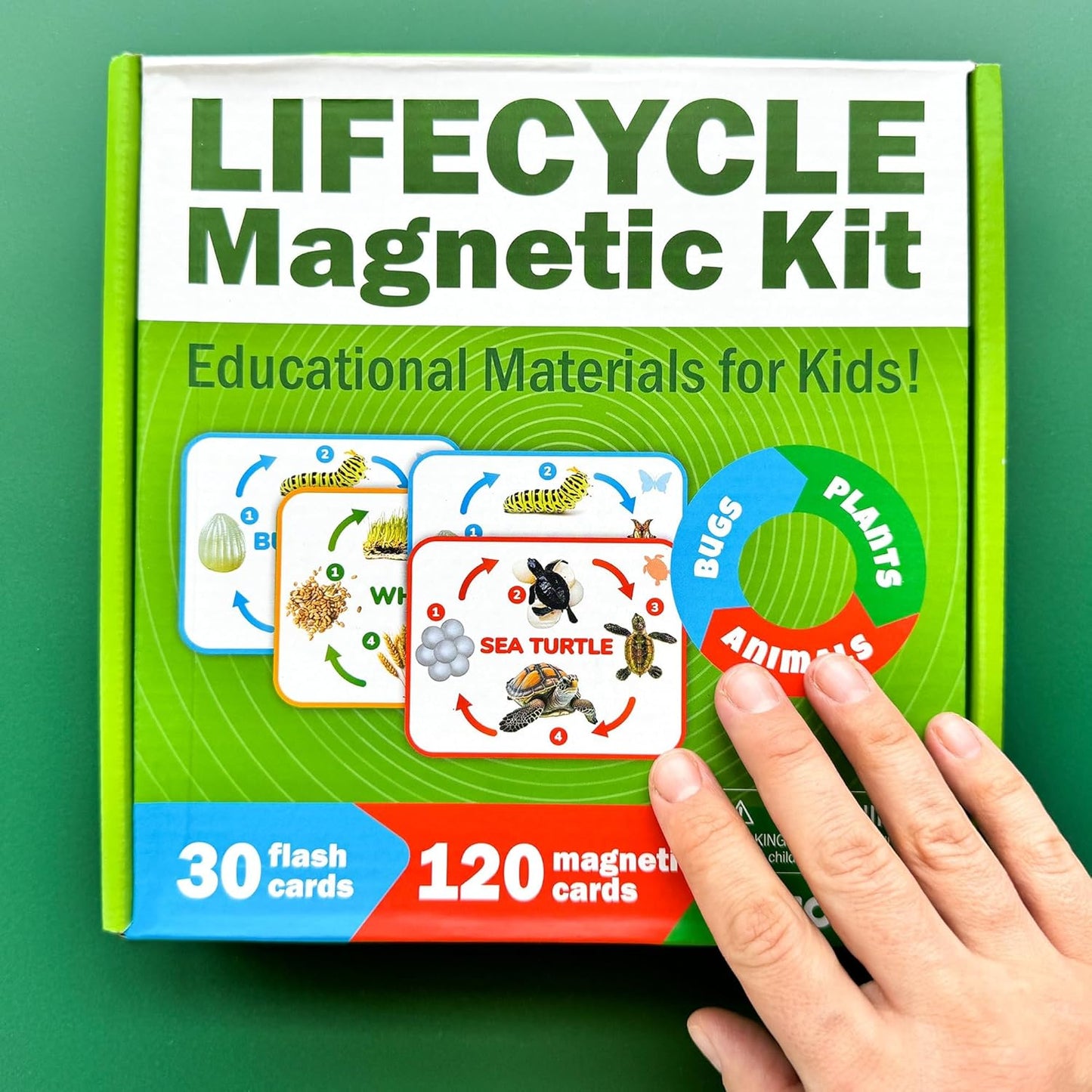 QUOKKA Life CycleToys for Kids - 30 Flashcards Toddler Science Kit Ages 2-4 - Pre-k Plant Animals Nature Learning Materials 3-5 - 120 Magnetic Flash Cards for Preschool and School (Part 2)