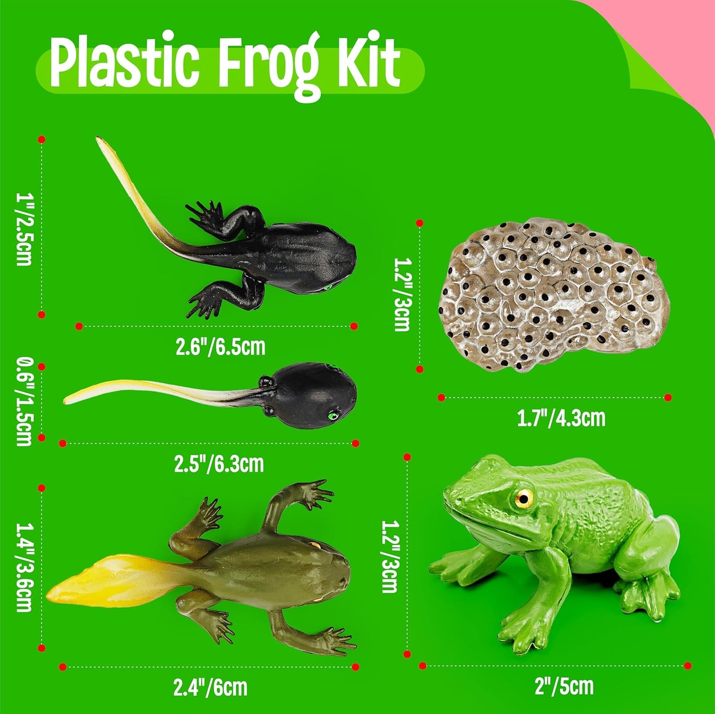 15 Plant Life Circle Flashcards with 4 Plastic Figurines-Seed to Plant, Plants Introduction Card Plants Growth Details for Nature Lovers & Adults, Montessori Toy for Kids