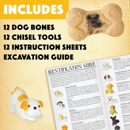 MindWare Dig it Up! Puppies Excavation Kit - Educational Toys for Kids 4 and Up - Dig Kit with 12 Bones, 12 Puppy Figurines, 12 Chisels - Ideal for Group Activities, Events or Classroom Brain Breaks