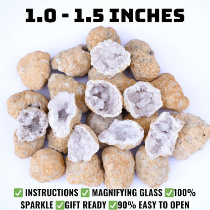 TruEnergy Jumbo Break Your Own Geodes – 2 Massive Natural Crystal Geodes 4.5 to 6.5 Inch, Easy Crack-Open Geology Specimens – Magnifying Glass & Geologist Guide – Gift Ready - [Jumbo]