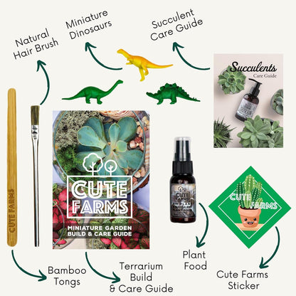 Cute Farms Terrarium Starter Kit | Moss, Vermiculite, Soil, Pebbles, Plant Food, & Finishing Tools (Large Kit + Crystals)