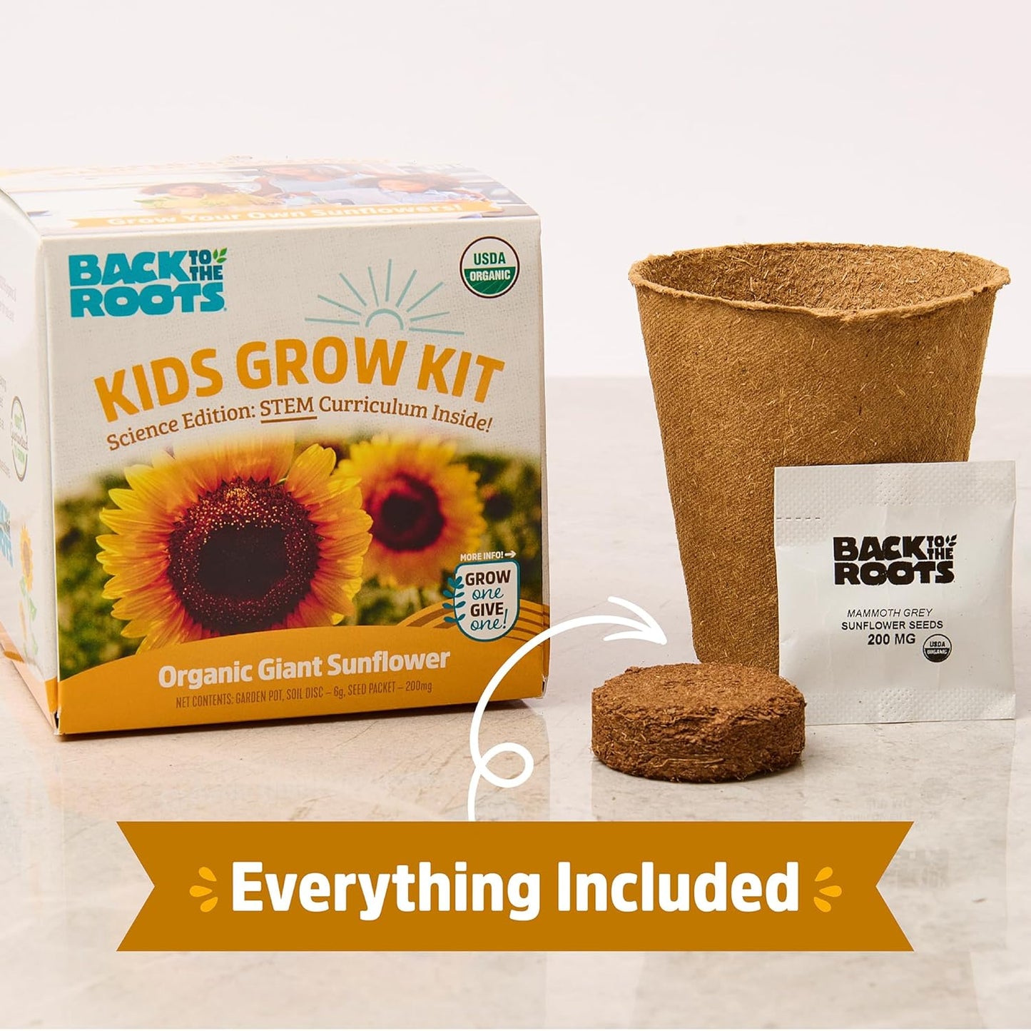 Back to the Roots Terrarium Grow Kit - Easy-to-Use DIY Set for All Ages Small