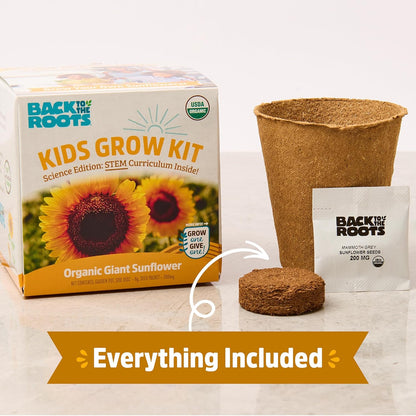 Back to the Roots Terrarium Grow Kit - Easy-to-Use DIY Set for All Ages Small