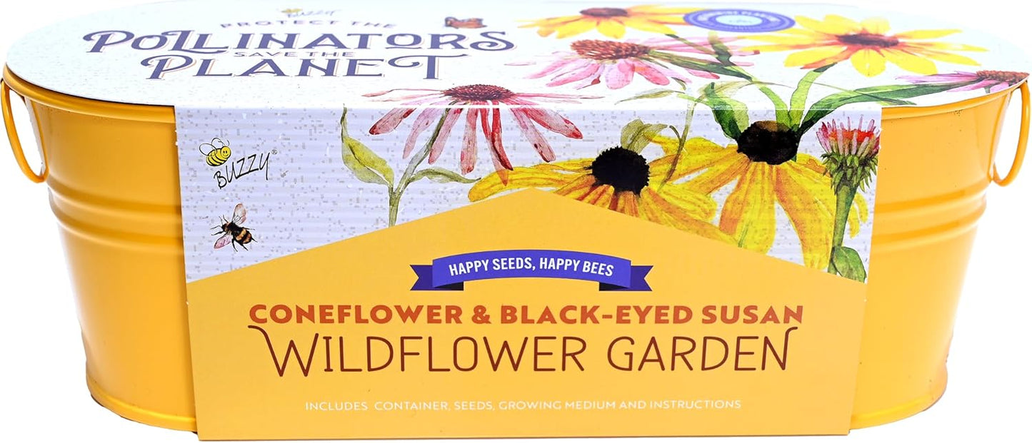 Buzzy Seeds Wildflower Garden Grow Kit, All-in-One Indoor Seed Starter Set with Non-GMO Mix of Coneflowers and Black Eyed Susans with a Decorative Planter - Great Gift for Gardeners, Gardening Project