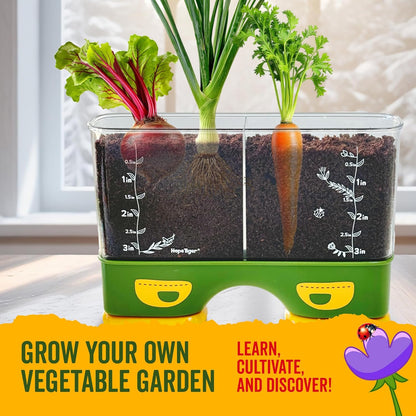 Gardening Root Viewer for Kids - Planting Kits with Seeds & Garden Supplies - Grow Your Own Seed - Home & Classroom Science Stem Learning - Plant Growing Spring Farm Toys & Gifts for Ages 6 Up