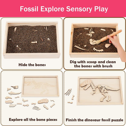 Dino Excavation Archaeology Dig Kit, Fossil Digging Kit for Kids, Dinosaur Skeletons Bones Puzzle Game with Wooden Storage Box, STEM Toys for Boys and Girls (Stegosaurus)
