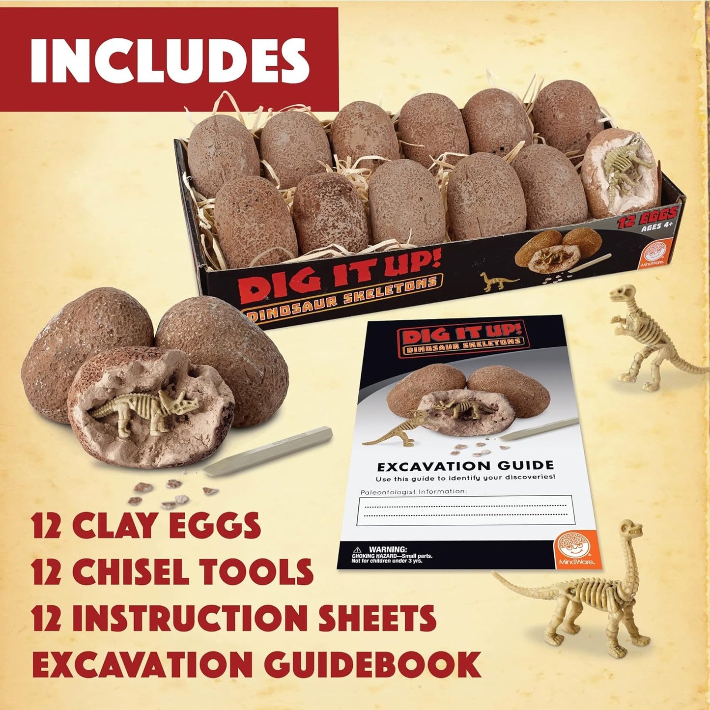 MindWare Dig It Up! Dinosaur Skeleton Eggs Excavation kit - Comes with 12 Clay Eggs, 12 Chisel Tools and 12 Instruction Sheets