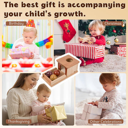 Adena Montessori Wooden Toy for 6-12 Month Baby 3 Balls with Tray, Object Permanence Box Colorful Learning Education Toy for Toddler Kid 1-2 Year Old, Preschool Developmental Girl and Boy Gift