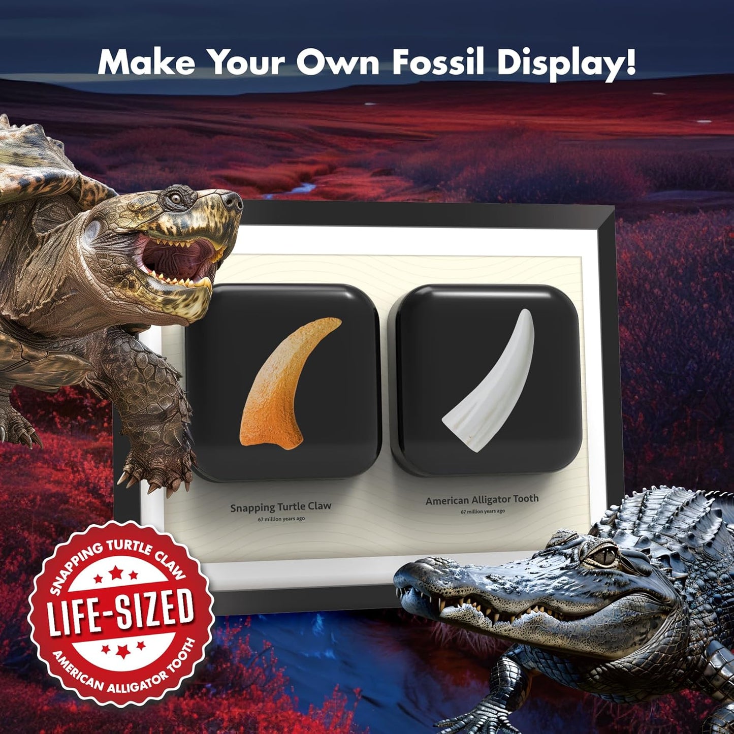Dinosaur Dig Kit - Excavate 2 Life-Sized Fossils (T.Rex Claw & Ankylosaurus Spine) - STEM Authenticated Science Toy with Tools & Display Frame - Gifts for Boys & Girls Ages 6-12