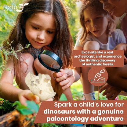 Nature Gear Gemstone Dig Kit for Kids, Educational Crystal Excavation Kit with 15 Mystery Gems, Interactive Adventure Fossil Mining Toy for Kids Age 3-5 and Up