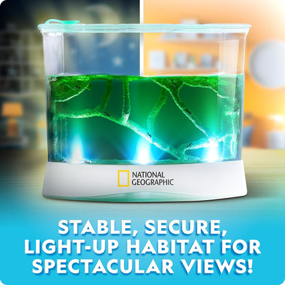 National Geographic Butterfly Growing Kit - Butterfly Habitat Kit with Voucher to Redeem 5 Caterpillars (S&H Not Included), Butterfly Cage, Feeder (Amazon Exclusive)