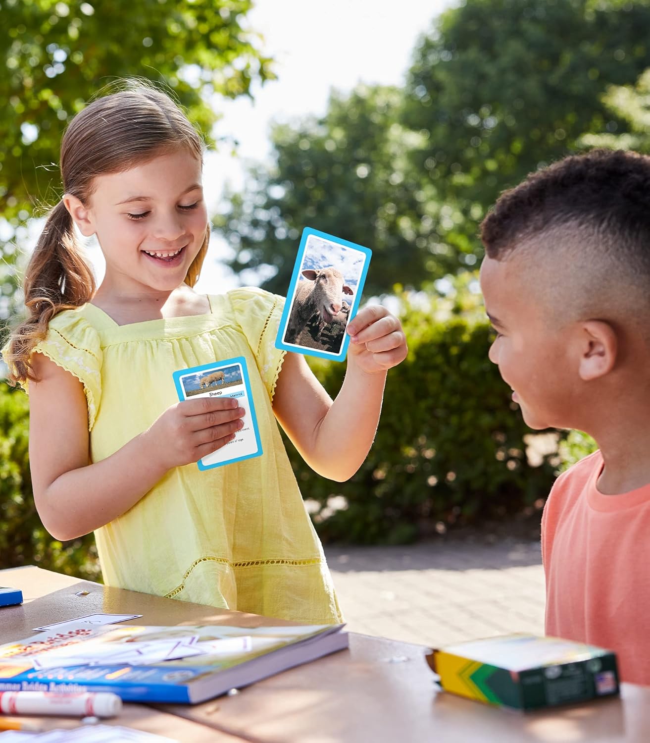 Carson Dellosa 54 Animal Flash Cards, Zoo, Reptiles, Bugs, Sea Creatures, and More Flashcards, Toddler Stocking Stuffers, Preschool Learning Activities for Kids Ages 4 and Up