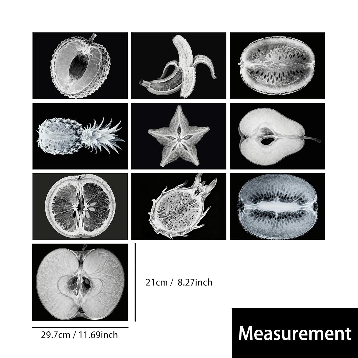 Vegetable, Fruit and Plant X-Rays, Set of 10, Simulation Specimen, Science Experiment Material for Kindergarten, Light Table, Montessori & Reggio-Inspired (Vegetables)