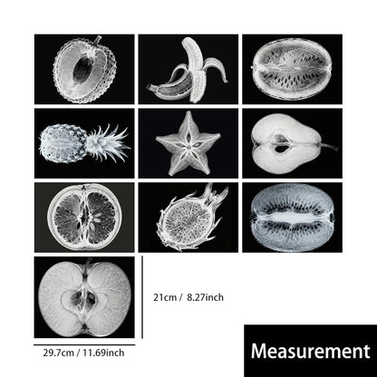 Vegetable, Fruit and Plant X-Rays, Set of 10, Simulation Specimen, Science Experiment Material for Kindergarten, Light Table, Montessori & Reggio-Inspired (Vegetables)
