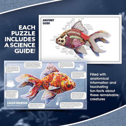 Bullfrog Animal Anatomy Floor Puzzle | 100-Piece Double Sided Jigsaw Puzzle | Large-Sized, Over 4 Feet Scientifically Accurate Illustration of Frog - Fun and Educational Toy for Kids, Toddlers