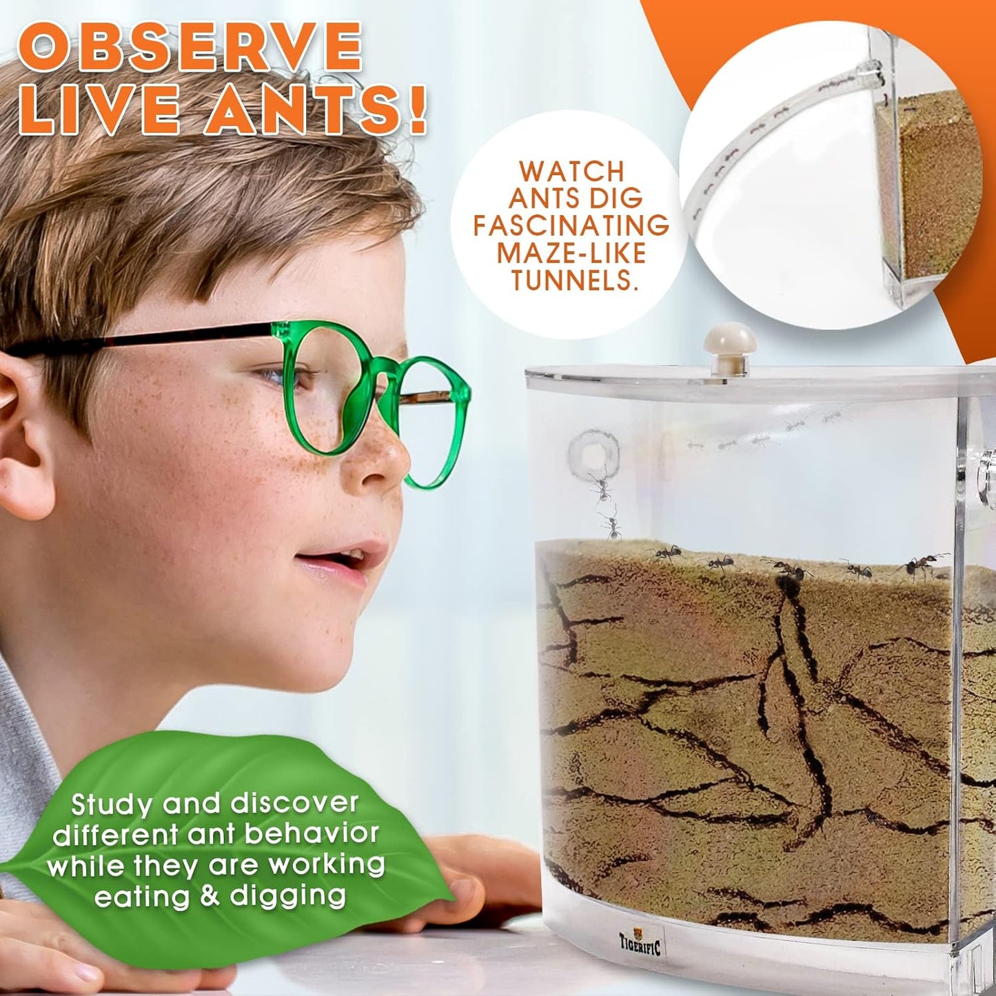 Ant Farm for Live Ants - Real Sand Ant Colony Kit for Kids -Fun Science Habitat Set for Children, Watch Ants Dig Tunnels, Carry Sand, Hide and Drag Their Food