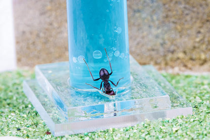 Anthouse.ES - Natural Sand Ant Farm - Acrylic Starter Kit 20x10x10 cm - Sand, Pipette, and Water Dispenser Included - Easy Installation