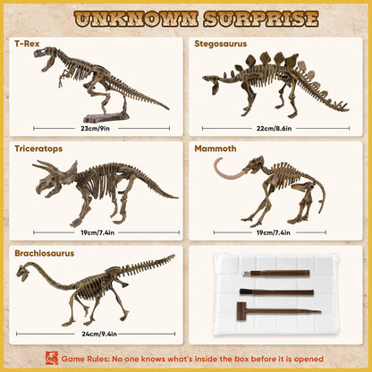VIBIRIT Dig Up Dinosaurs Skeleton Set,Dinosaur Digging Fossil Kit Model Toys,Excavation Kits for kids5-12year,Educational Realistic Toys for Kids,Boys,Girls